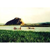 Sự Ký's photo