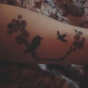 Jill Mori's photo