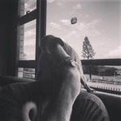 Aneke Venter's photo