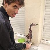 Virgile Benichoux's photo
