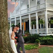 Traci Shiller's photo