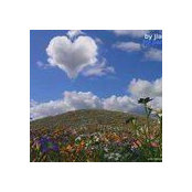 Elena's photo