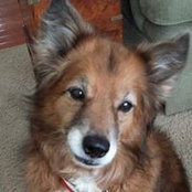 Sharon Bonnell Templeman's photo