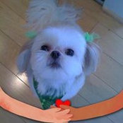 Cookie Lipinさんの写真