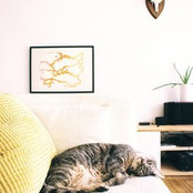 Guillaume Rozan's photo