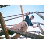 Daniel Ginsberg's photo