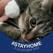 Cindy Hunt's photo