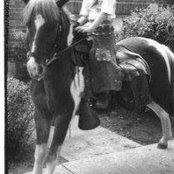 Patrick Barrett's photo