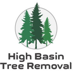 High Basin Tree Removal