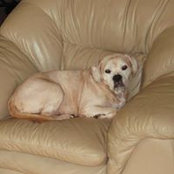 Jim Patton's photo