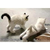 Emilie Gagne's photo