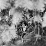 Steph's photo