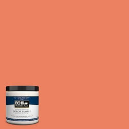 BEHR Mesa Sunrise - Paint