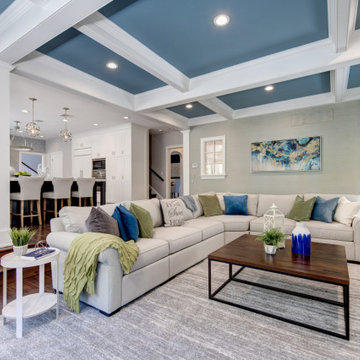 Transitional Living Room