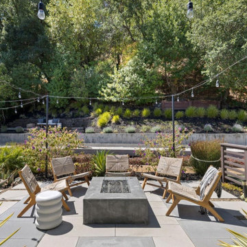 Contemporary Luxe Backyard