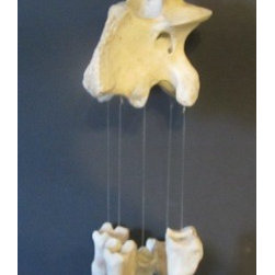 Custom Bone Wind Chimes - Products