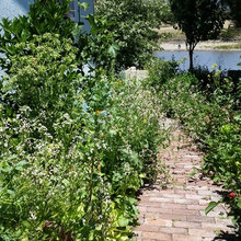 Edible garden