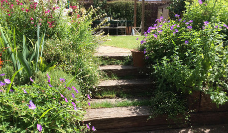 What Will We Want in Our Gardens in 2022?