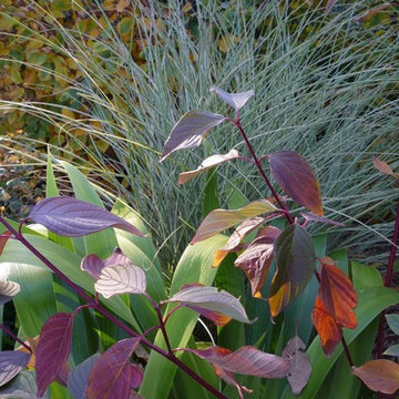 Planting Design