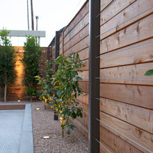 Backyard2