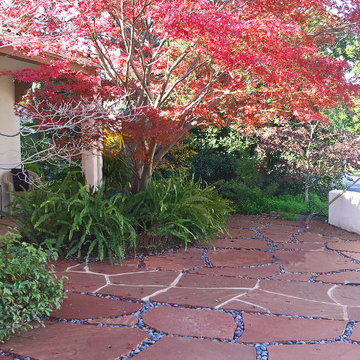 Mediterranean Courtyard- Lawn Removal Project