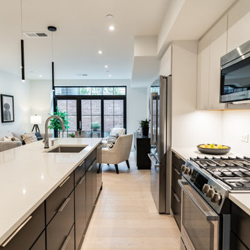 Southwest DC Duplex Renovation