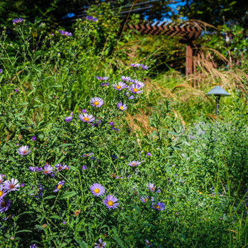 Grassy Meadow Oasis - Reduces Waste While Increasing Habitat