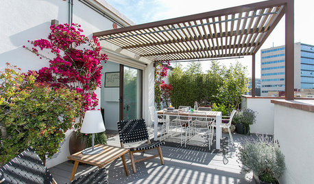 My Houzz: A Beautiful Terrace is the Heart of This Small Flat