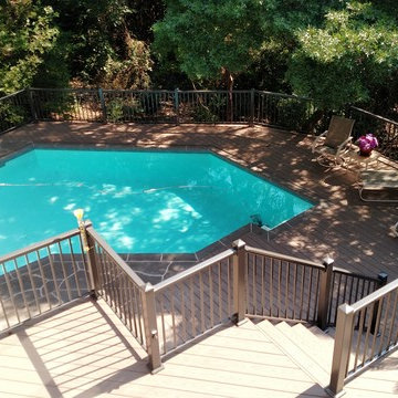 Cat Mountain North Backyard Makeover