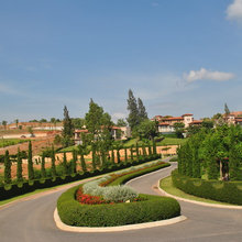 Landscape Designs