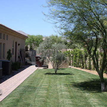 Desert Backyard Pool & Spa