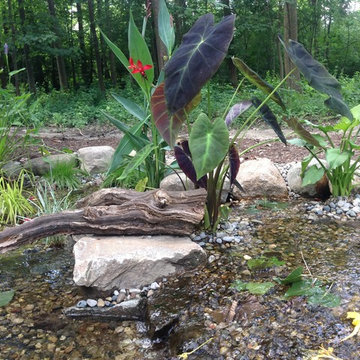 Lost loved one - Dedication Pond