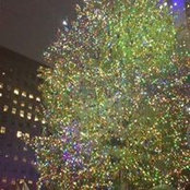 Judith Lee-Sing's photo
