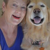 Allison Sitov's photo
