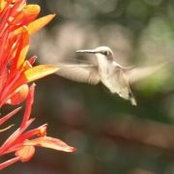 Foto de Candy Risdale
