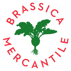 Brassica Mercantile