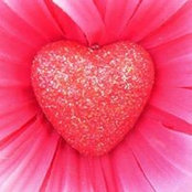 Arlene Morin's photo