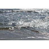 Carlotta Simonetta's photo