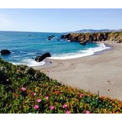 Rick Quinn's photo