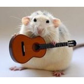 Mark Stefansky's photo