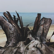 Correy Denihan's photo