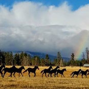 Greg Donaldson's photo