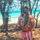 andrew_liscio