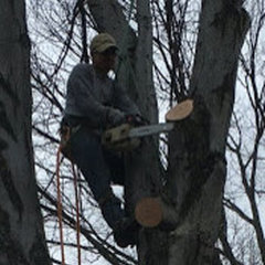 O'brothers tree service LLC