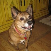 Ashley Albert Goyette's photo