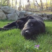 Beth Herman Davis's photo