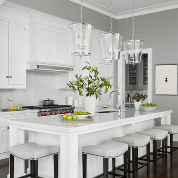 Chicago Luxury Residence