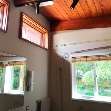 Ann Arbor Master Bath Addition: Water Hill
