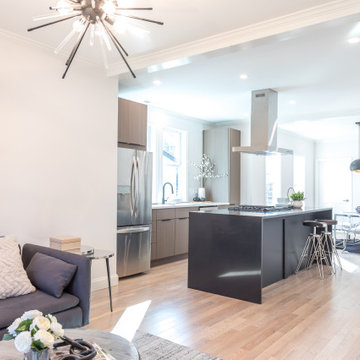 Condo Renovation - 20 Richdale Ave, Somerville - MA