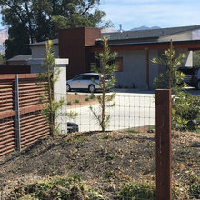 exterior/gates/fencing